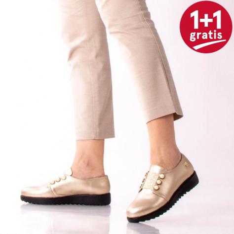 https://www.pantofi-trendy.ro/image/cache/data/martie24/Pantofi Casual Gretta Aurii-1000x1000.jpg